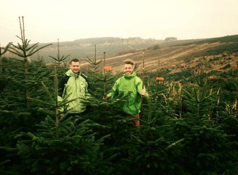 Živý vianočný stromček - Jedľa Normandska Premium. Záhradné centrá Siky Gardens vám ponúkajú prežiť Vianoce s ich typickou vôňou ihličia.