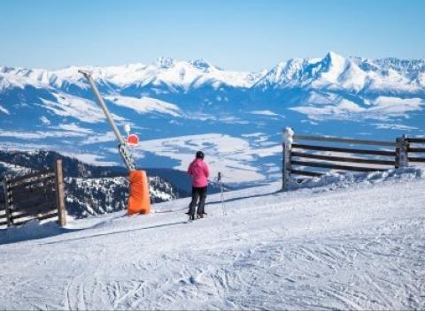 Vyrazte za skvelou aktívnou dovolenkou do Vysokých Tatier. Pobyt vo vile Gabriel s infrasaunou, masážnym kreslom a polpenziou.