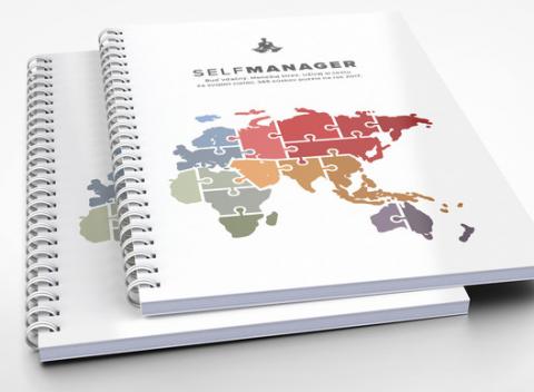 Knižný titul Puzzle života – diár 2017 pre sebariadenie. Pomôže vám usmerniť vlastnú myseľ, naučí vás starať sa o svoje telo. 