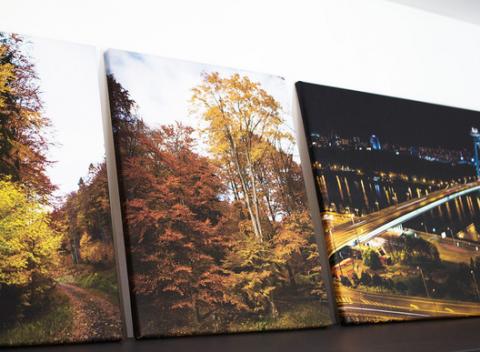 Fotoobraz na plátne s fotografiou alebo obrázkom podľa vášho výberu. Takýto obraz zútulní a skrášli interiér presne podľa vášho vkusu.