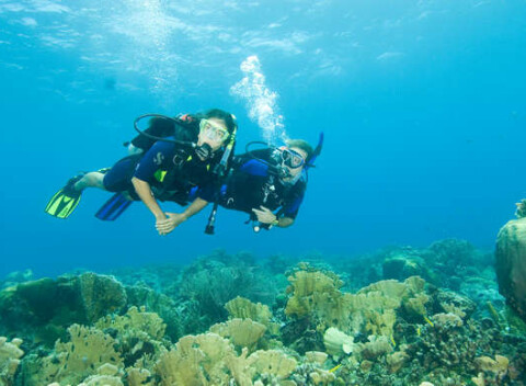 Kurz potápania pre začiatočníkov alebo pokročilých v päťhviezdičkovom centre Academia Aquatica.