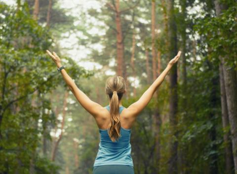 Životná forma - jeden z najkomplexnejších online vzdelávacích programov, s ktorým dosiahnete VAŠU životnú formu. 