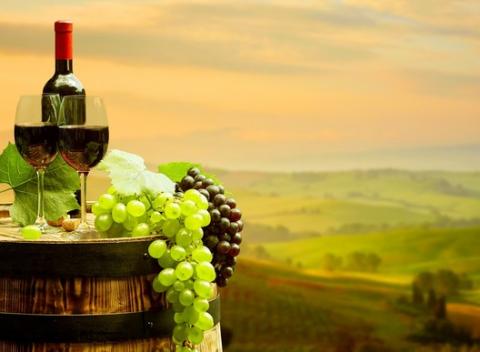 Neštandardný vinársky pobyt pre 2 osoby na Južnej Morave. Ubytovanie v penzióne U Novákov s neobmedzenou konzumáciou vín.