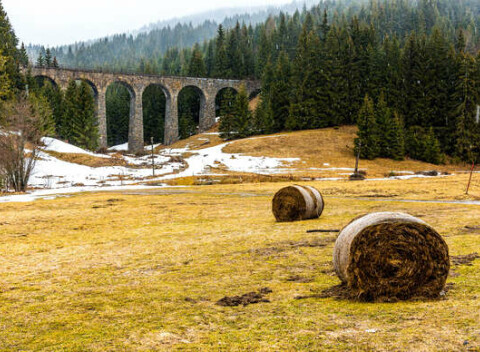 Chata Čučoriedka: Zažite pokoj pod Kráľovou hoľou v chate s wellness pre 8 osôb.