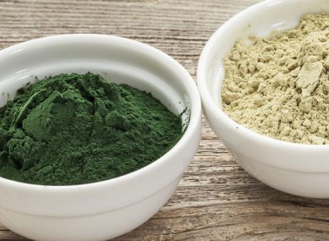 Zdravé potraviny budúcnosti - prášok z baobabu alebo spiruliny. Prírodný zdroj minerálov, vitamínov a enzýmov.