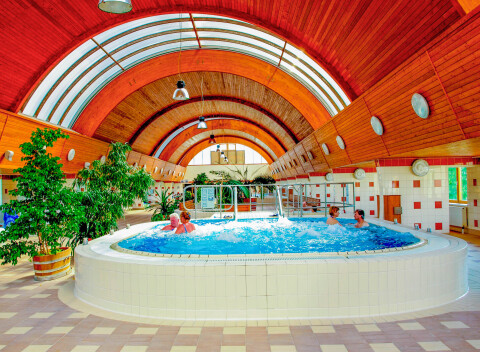 Maďarsko len 200 m od parádnych termálnych kúpeľov v Lídia Hoteli Harkány *** s polpenziou.