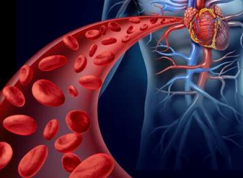 Nakopnite si krvný obeh pomocou Sonotherapie – vyšetrenie a liečba cievneho systému.