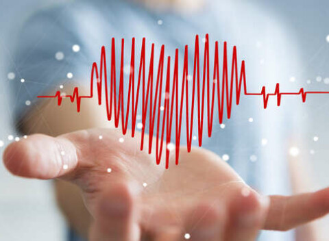 Vyšetrenie srdca prostredníctvom ultrasonografie - skontroluje aktuálnu funkciu srdca.