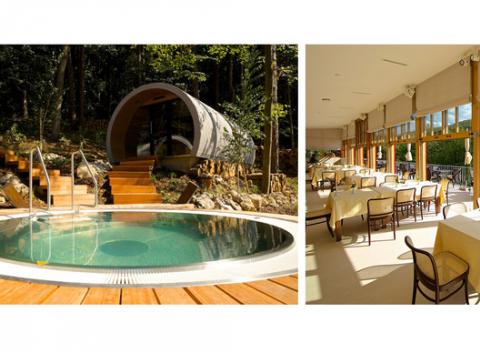 Zabudnite na všedné problémy pri 4-chodovom menu a originálnom wellness pod stromami v Trenčianskych Tepliciach v kúpeľoch Zelená žaba.
