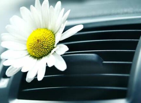 Čistenie interiéru ozónom alebo plnenie klimatizácie auta bez doplatkov v Petržalke.