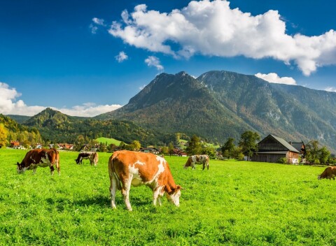 Rakúske Alpy pri termáloch i jazere: Pobyt v Bad & Ski Pensione *** s wellness a polpenziou.