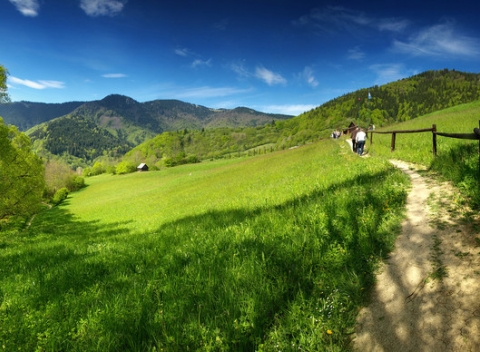 Vychutnajte si dovolenku v krásnej prírode a napite sa zdravia. Pobyt pri 5-tich zázračných prameňoch v Korytnici v penzióne Svätopluk.