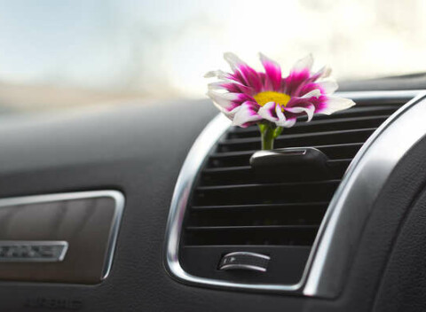 Servis a plnenie klimatizácie, dezinfekcia interiéru vozidla – ozón, ktorý zničí vírusy a baktérie.