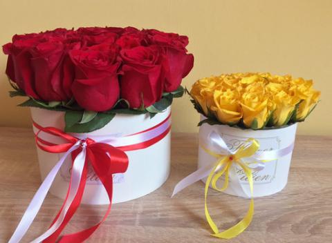 Box plný ruží pre každú príležitosť. Podmanivá vôňa, žiarivé farby a krásny box s venovaním zaručene vyčarí vašej polovičke úsmev na tvári.