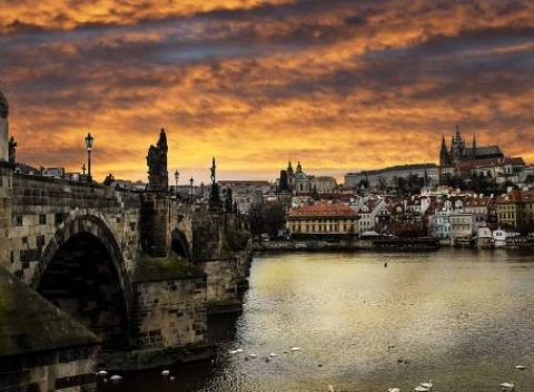 Hľadáte výhodné ubytovanie v Prahe? Rezervujte si pobyt pre dvoch v penzióne FOX len cca 15 minút metrom od centra s raňajkami a masážou.