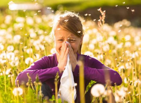 Koniec peľovej alergie – testovanie a odstránenie alergií v biorezonančnom centre BIORETA pomocou biofrekvenčného prístroja BICOM.