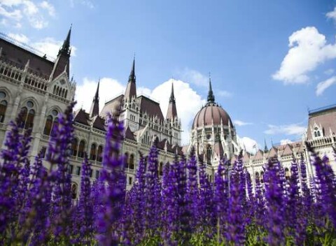 Mediterran Hotel Budapest**** s neobmedzeným wellness, dieťaťom do 12 r. zdarma a dlhou platnosťou.