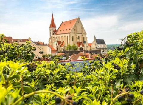 Hotel Bax***: Dovolenka na Morave s raňajkami, večerou a kvalitným vínom ako darček.