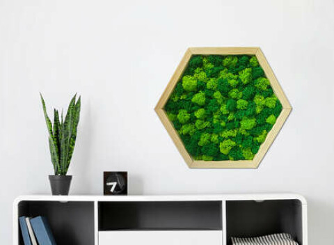 Machový obraz do vášho domova – 100 % prírodný skvost, o ktorý sa netreba starať.