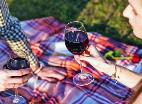 Pobyt v centre vinárskej obce neďaleko Znojma v modernom penzióne s neobmedzenou konzumáciou vína.