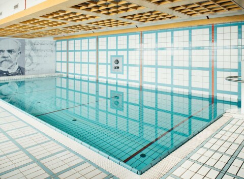 Hotel Dvořák Spa & Wellness **** s bazénom, thajskou masážou a herňou pre deti + polpenzia.