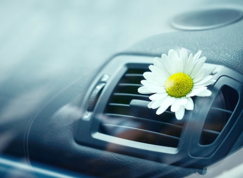 Kompletný servis klimatizácie s doplnením chladiva R134a a dezinfekciu ozónom v ART Pneu. 