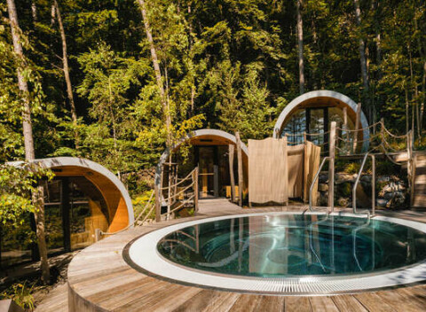 Dovolenka pri legendárnej Zelenej žabe so vstupom do vonkajšieho saunového sveta alebo na kúpalisko.