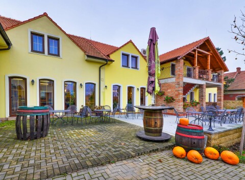 Valtice v Penzióne Siesta s degustáciou vín a rautom vo vínnej pivnici + raňajky formou bufetu.