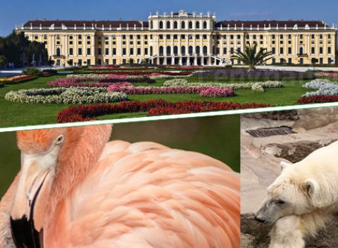 Komfortný pobyt vo Viedni v 4* hoteli Club Cortina s raňajkami v blízkosti zámku Schönbrunn.