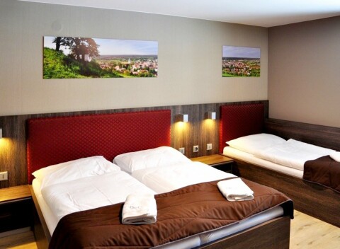 Výlet za vínom do Bzenca do Hotela Beta *** s ochutnávkou 42 druhov vín, fľašou vína a polpenziou.