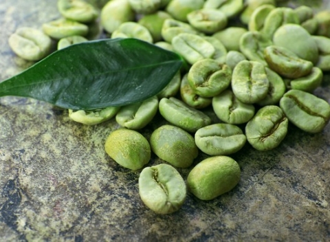 Zelená káva 1 kg - efektívny spaľovač tukov, ktorý rozprúdi váš metabolizmus.