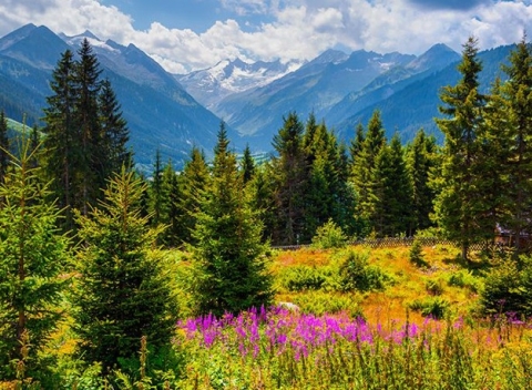 Dovolenka plná relaxu v srdci poľských Tatier s ubytovaním vo Willa Przy Olczyskiej.