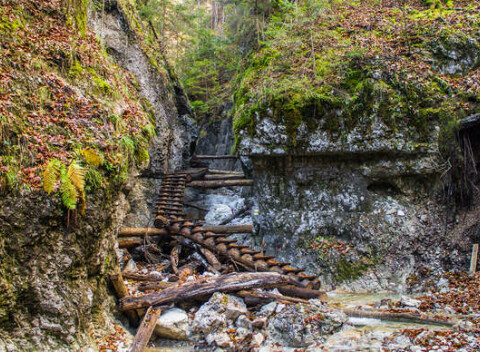 Doprajte si oddych v Penzióne Thamasy v srdci Slovenského raja s raňajkami.