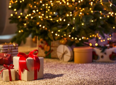 Vianoce v Schlosshoteli Marienbad *** s polpenziou, 3 procedúrami a slávnostnou galavečerou.