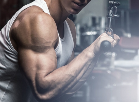 Vstup do fitnesscentra MuscularGym s trénerom. Čisto mužské fitko s voľnými váhami.