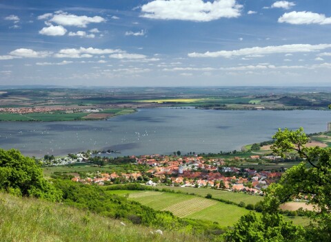 Penzión Pálava s neobmedzenou konzumáciou sudového vína počas jedného večera + polpenzia.