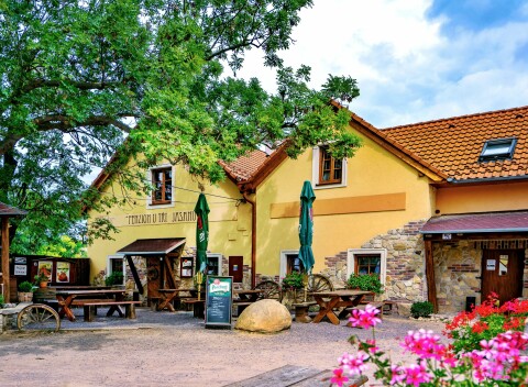 Južná Morava pri Znojme štýlovo v Penzióne U Tří Jasanů s raňajkami a poukazom do reštaurácie, wellness.