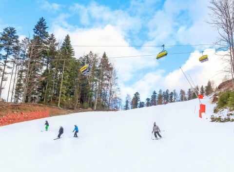 Pobyt pri ski areáloch v Hoteli Alpin *** s polpenziou, privátnym wellness centrom a skibusom.