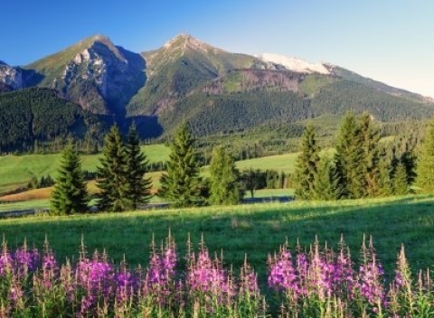 Užite si skvelú dovolenku pre dvoch uprostred krásnej prírody v Belianskych Tatrách.