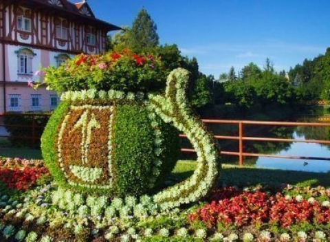 Luhačovice v apartmánoch vily Amálka s večerou, fľašou vína, privátnym wellness.