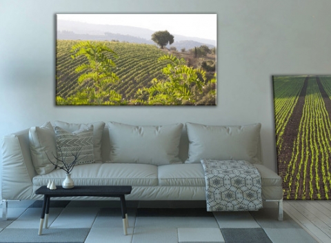 Zvečnite vaše fotografie na veľké plátno a pripomeňte si krásne chvíle.