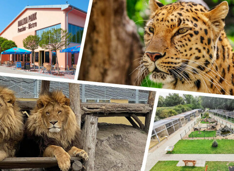Vstupy do Malkia Parku so zachránenými mačkovitými šelmami a kontaktnými zvieratkami.
