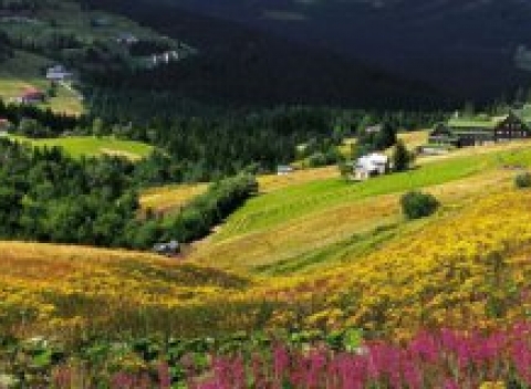 Krkonoše a skvelý rodinný pobyt v hoteli Hříběcí bouda*** s polpenziou a wellness.