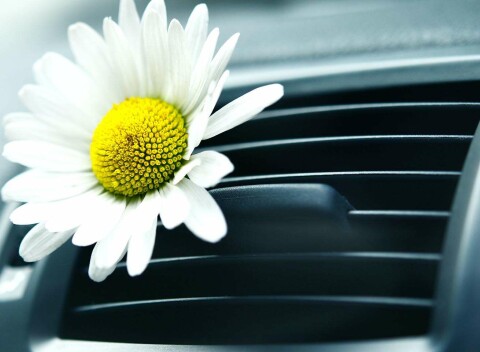 Dezinfekcia a čistenie interiéru ozónom alebo plnenie klimatizácie auta bez doplatkov v Petržalke.