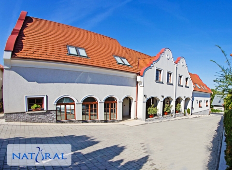 Relaxačná dovolenka v maďarskom Győri: neobmedzené wellness, fitness i vstup do kúpeľov.