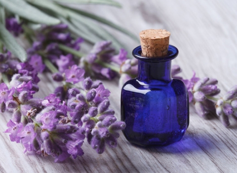 Celotelová, lymfodrenážna, aromaterapeutická alebo medová masáž na podporu imunity.