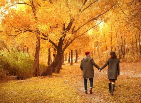 Dovolenka pod horami Banskej Štiavnice v príjemnom prostredí malebnej dedinky Podhorie.