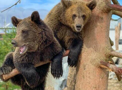 Vstup do ZOOKONTAKT family park v Liptovskom Mikuláši - rodinný program na celý deň.