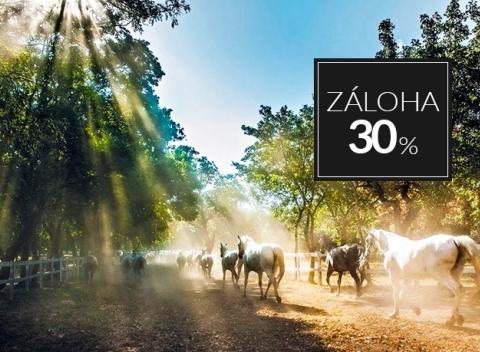 Relax v elegantnom hoteli Maestoso *** uprostred žrebčína Lipica s polpenziou v Slovinsku.