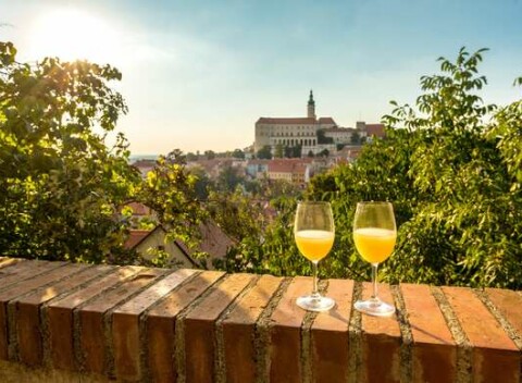 Útulný penzión Zaječák kúsok od Pálavy s vírivkou a možnosťou degustácie.